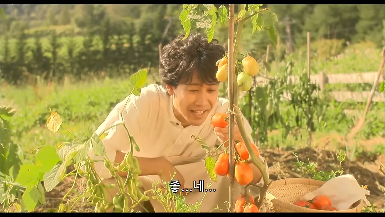 영화)해피해피 브레드