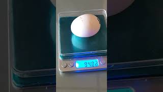 Chicken egg weight
