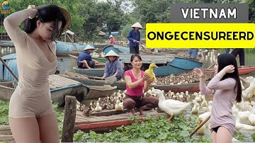 Meest ZondAige Land? Dit Gebeurt Elke Dag In VIETNAM! Ongelofelijke Feiten Over VIETNAM!