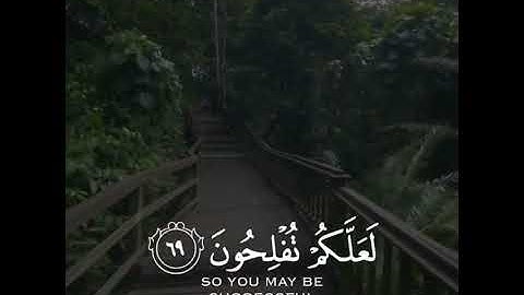 القارئ رعد الكردي سورة (الأعراف)