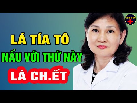 Video: Thảo mộc Shiso là gì: Mẹo trồng cây bạc hà tía tô