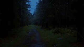 ℭ𝔯𝔶𝔰𝔱𝔞𝔩 𝔠𝔞𝔰𝔱𝔩𝔢𝔰 - 𝔗𝔯𝔞𝔫𝔰𝔤𝔢𝔫𝔡𝔢𝔯 (Slowed down and reverb. walking in a dark forest background)