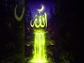 Sach Sach batana kya aap Allah Ke Liye Jaan de sakte ho han ya na comment mein