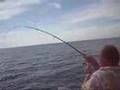 Снеппер, snapper, fishing in Cuba
