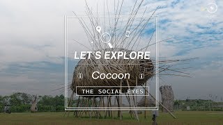 Installation Arts : Cocoon
