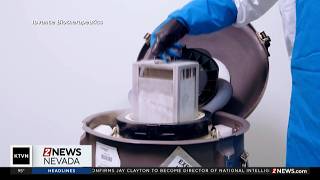 Health Watch: Tumor infiltrating lymphocyte therapy