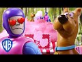Scooby-Doo! Mini-Mysteries | Cotton Candy Chaos | WB Kids