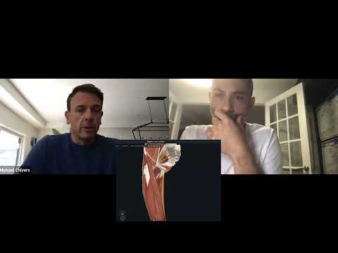 Assessing Adductor Brevis