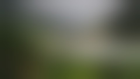 تلاوة خاشعة من سورة النمل للقارئ إسلام صبحي ارح سمعك❤️