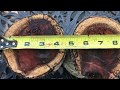 Hawaiian Koa Bowl Blanks joelinhawaii eBay Auction 282 Hawaiian Koa Bowl Blanks joelinhawaii eBay Auction 282