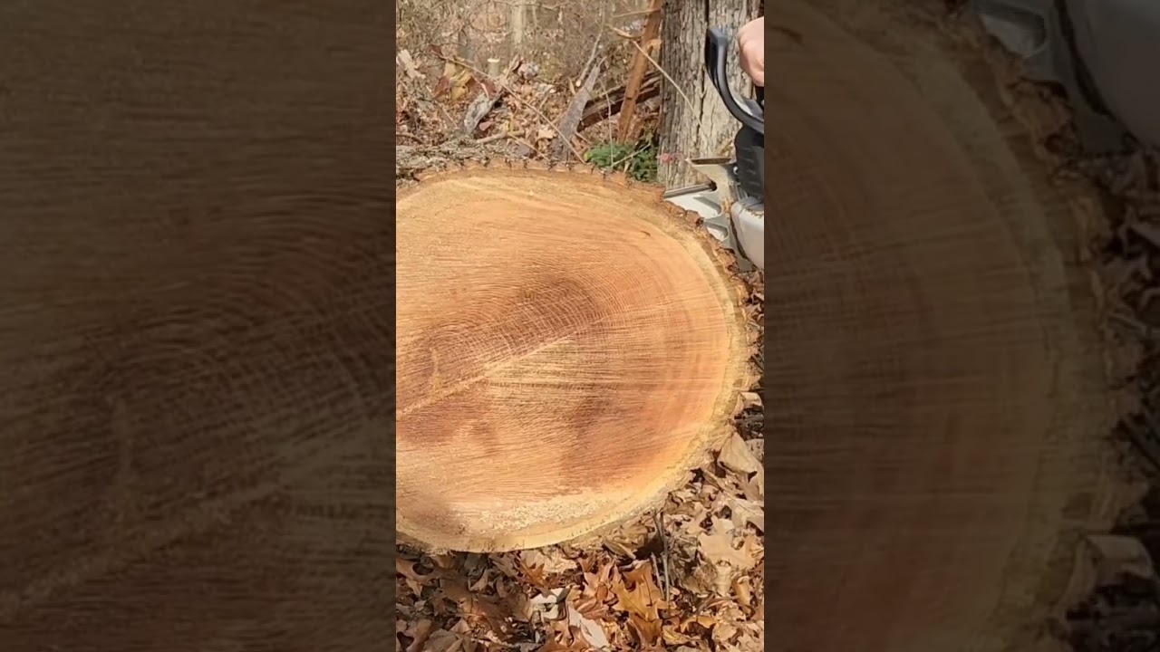 Holzfforma G660 Pro 25" Bar Red Oak 