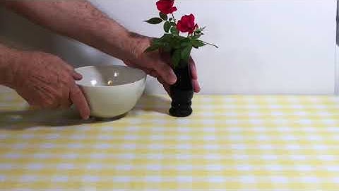 Simultaneous Contrast Demonstration