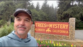 Trees of Mystery - Giant Redwoods - Klamath California - Scott's Adventures