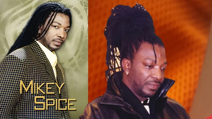 Mikey spice Best of Reggae lovers rock  culture mi...