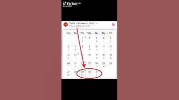 Tết 2025 đến vào ngày 29 1/1 Tết||#mèosimmy||#sammyđào