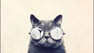 INvinCibLe - marshmello [Bass Boosted]