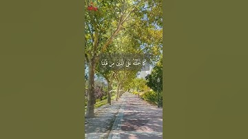 ﴿لا يكلف الله نفساً إلا وسعها﴾ تلاوة خاشعة للقارئ الشيخ أحمد العجمي  سورة البقرة. حالات واتس إسلامي.