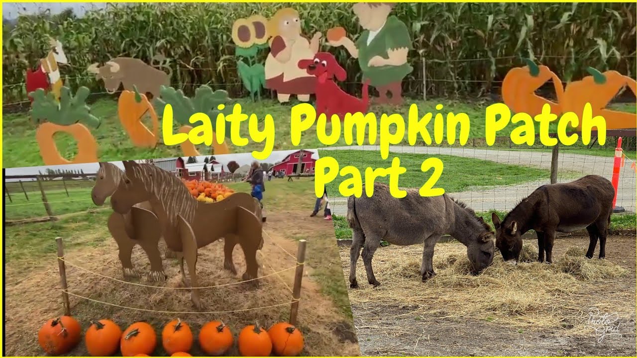 Laity Pumpkin Patch Part 2 | Maple Ridge BC 2020