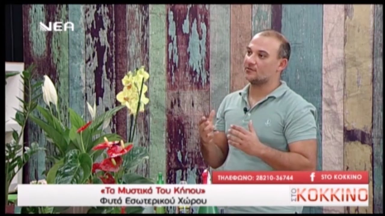 Φυτά Εσωτερικού Χώρου - Ο Κώστας Λιονουδάκης 