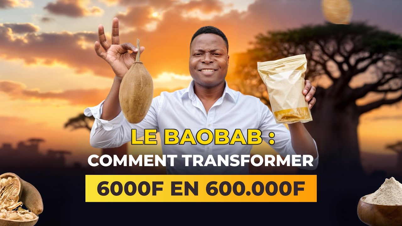 Le BAOBAB : Comment faire fructifier 6 000 FCFA pour atteindre 600 000 FCFA ?
