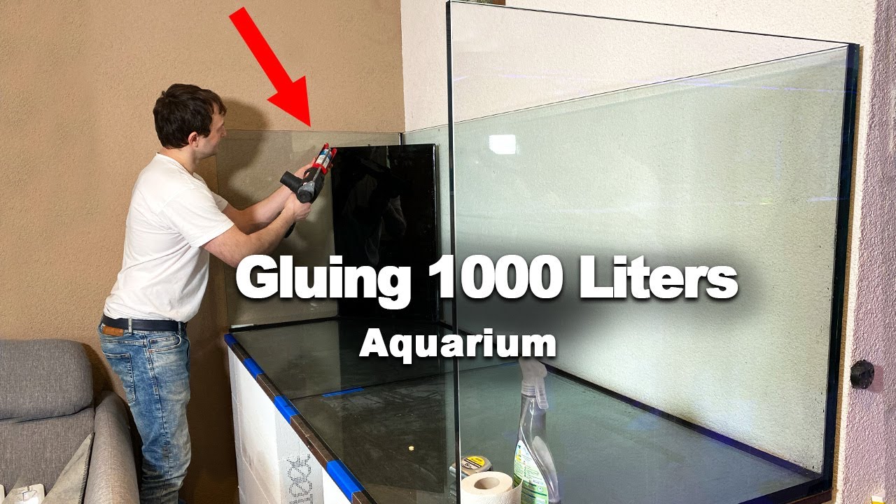 veiligheid Uitmaken campus How to glue together a 1000 Liters REEF AQUARIUM?! - YouTube