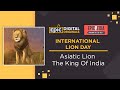 World lion day  asiatic lion  pride of india  epic