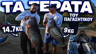 Τα Τέρατα του Παγασητικού.. Σφυρίδα 9kg & Σφυρίδα 14.7kg Σοκ!!