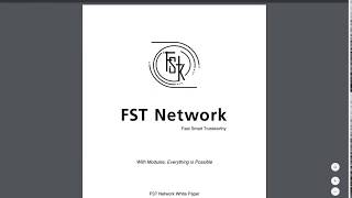 ✅✅✅FST Network - детали белой книги✅✅✅