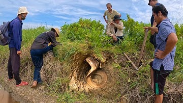 Địa điểm quá nhiều Rắn Hổ Mang | TGSB #720