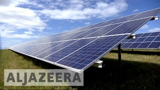 Solar panels prop up South Africa's electricity grid