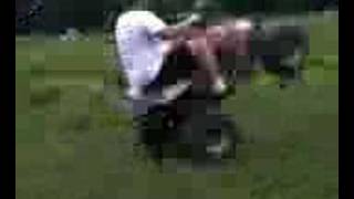 wheelie