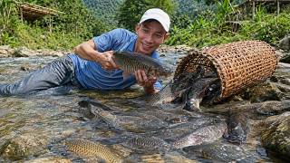 Information Catching Big Wild Carp with Homemade Traps — Sold at the Fish Market to Buy Food for Dinner News