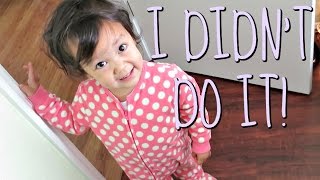 I DIDN'T DO IT! - June 15, 2016 - ItsJudysLife Vlogs