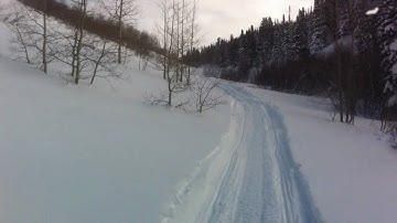 Spryte working the canyon road