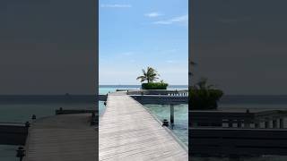 Maldives Overwater Paradise 🏝️🐠 Inside the 66 m² Water Villa at Constance Moofushi 🌊✨