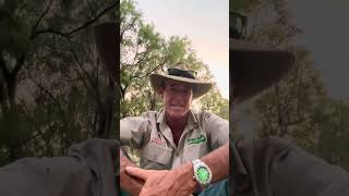 So you think you can beat a kangaroo??? #askanyaussie #crocturnbull #australia #kangaroo Net Worth