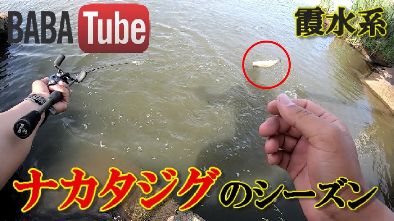 BABATube【新作】季節の変化にアジャストするルアー