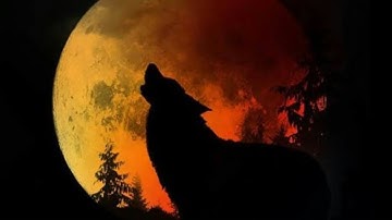 BLOB İO İNSTANT MERGE KİNG ?#HANUEM BLOB