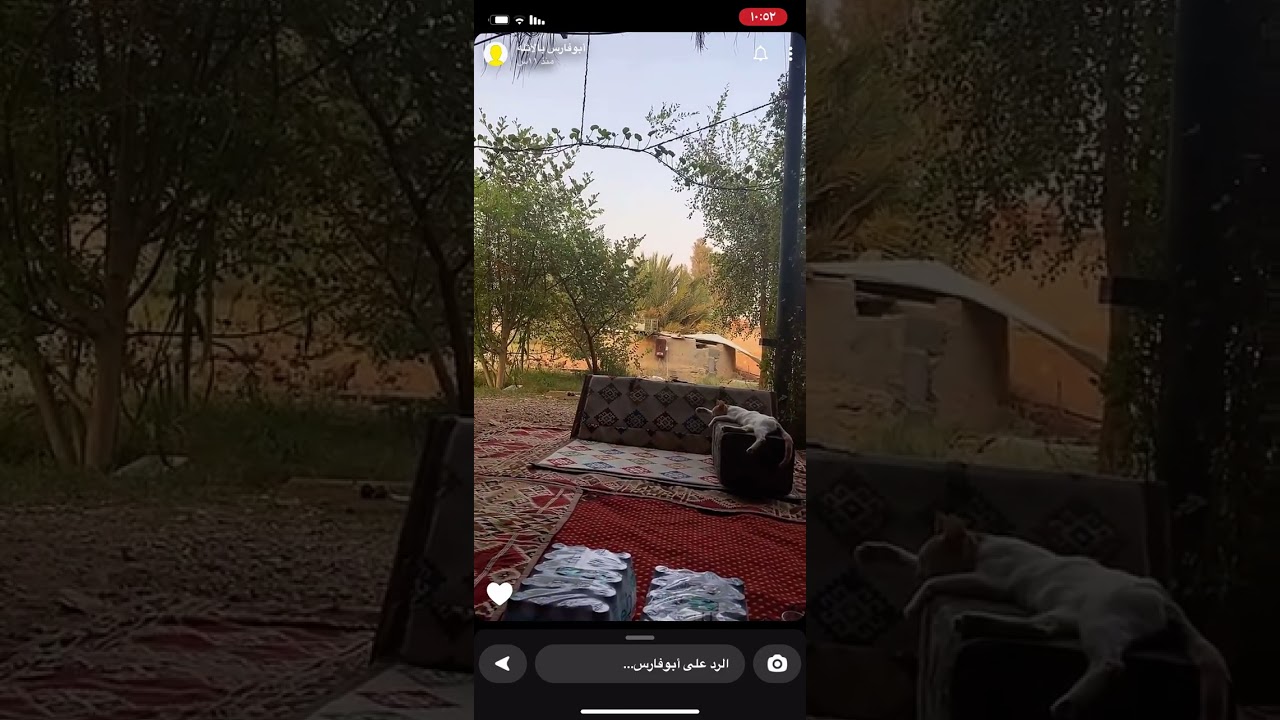 اب تبرا من ابنه وتبنوه جيرانه