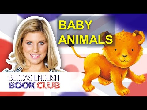 Say Hello to the Baby Animals | Books Read Aloud [Native British Accent]