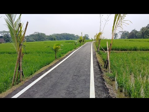 Karya Kang Dedi Mulyadi Desa Sukasari Menjadi Dasar Inspirasi Pedesaan Yang Ada di Jawa Barat