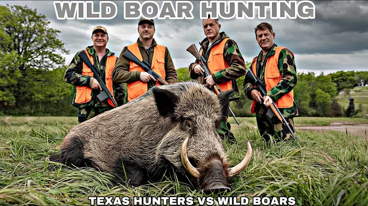 How Hunters and Farmers Deal with Millions of Wild Boars in Texas