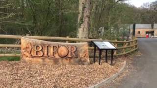 Climate Change Test On English Woodland Bifor