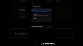 How to use DND mode with TalkBack for blind user how to schedule do not disturb detail about DND screenshot 2