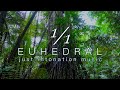 癒し・リラックス・瞑想のための純正律音楽 | EUHEDRAL ライブBGM 🌿 A=432Hz|24時間エンドレス配信