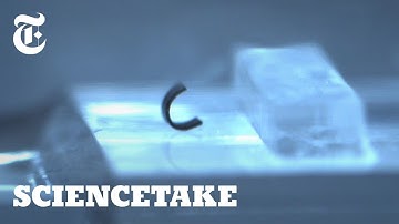 This Robot Can Walk and Swim — Inside You | ScienceTake