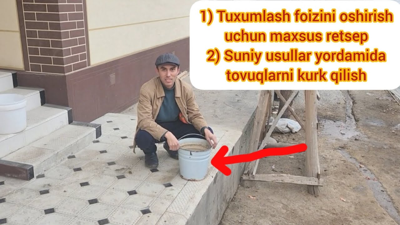 TUXUMLATISH UCHUN MAXSUS RETSEP VA TOVUQLARNI KURK QILISH SIRI