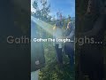 Pocket Sized Adventures | Apple Picking