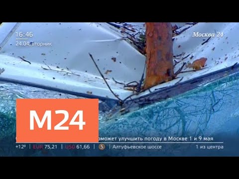 "Жизнь в большом городе": последствия урагана - Москва 24