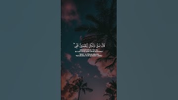 -اكتب شيء تؤجر عليه -❤😴﴿وإذ قال إبراهيم ربي أرني كيف- تحيي الموتى﴾🎧🫀 تلاوة خاشعة قرآن كريم -